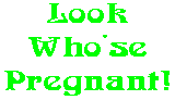 Look Who'se Pregnant!