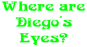 Where are Diego's Eyes?