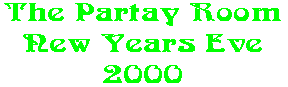 The Partay Room New Years Eve 2000
