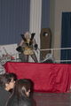 Apr16-460.jpg