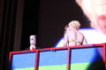 Apr01-120.jpg