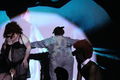 Jun03-331.jpg