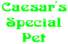 Caesar's Special Pet